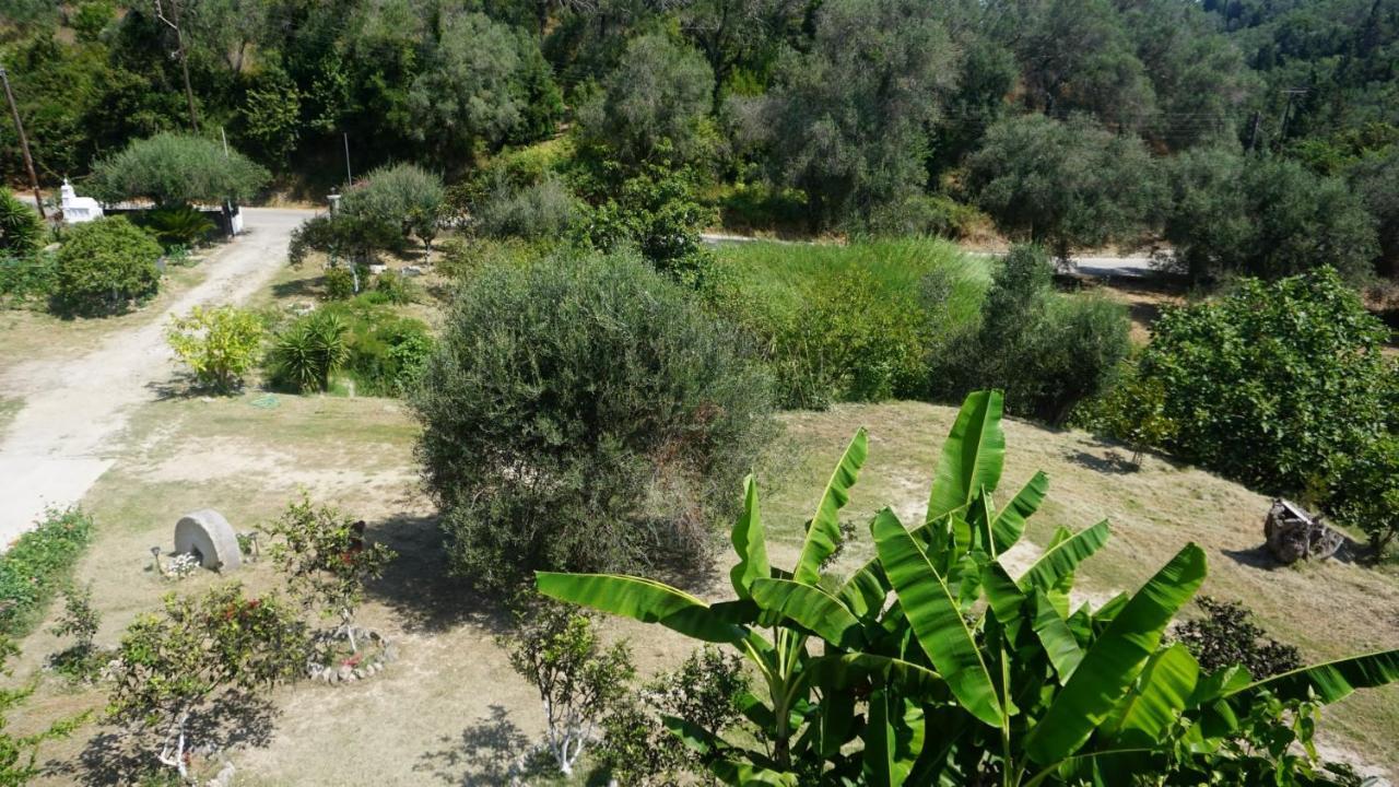 Secluded Serenity - A Tranquil In Corfu